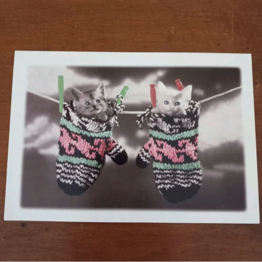 American Greetings Dog & Cat Pet Themed Christmas Holiday Cards No Envelopes